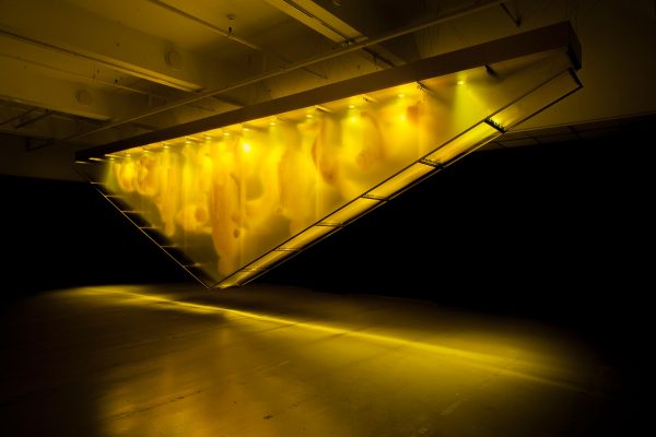 GOLD. David Spriggs. 2017. 1097 x 274 x 76 cm. / 432 x 108 x 30 inches. Yellow acrylic paint on layered sheets of transparent film, triangular gold colour structure, lighting units

Gold is the latest in David Spriggs’ chromatic artwork series of Stratachromes that examine contemporary symbolic meanings of color. Spriggs’ monumental installation presents eleven inverted yellow-golden human figures painted on layers of transparent sheets that are hung within an inverted pyramid structure. Initially reminiscent of the pediment of the New York Stock Exchange, Gold, in the spirit of pittura infamante (defaming portrait) turns the glory of capitalism on its apex, revealing its current precarious state. It speaks to the widening inequity within the Global Wealth Pyramid and the concentration of excessive wealth and corresponding power into the hands of a select few.

It is fitting that this provocative art work is on display in the central business district in downtown Pittsburgh, also known as the Golden Triangle. This historic location dates back to the gilded age. It is to that age the nation’s current political leadership seek’s to return, in their quest to remake the current America into some idolized great state. But is that even possible or is such a return an illusion? And if not an illusion, will the result be to repeat that period’s excesses and failures?

The viewer may be unsettled by the mirage-like-forms and suggestively paganic imagery. Is this intensely-saturated golden color representative of fools or of wealth? Yet we note that the figures of the artwork are not engaged in various forms of industry, in service to a central Goddess of Commerce, but rather are subservient, aloof or apart. Such is the relationship of many with today’s economy.