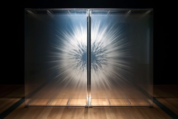 Vision by David Spriggs
2010
104 x 124 x 36 inches / 264 x 315 x 91 cm
Acrylic paint on multiple sheets of transparent film in display case