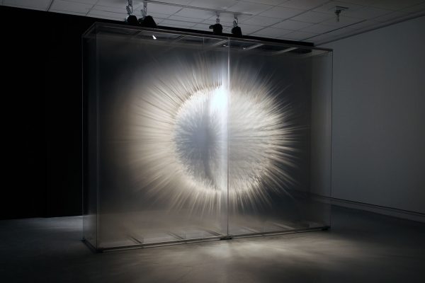 Vision by David Spriggs2010104 x 124 x 36 inches / 264 x 315 x 91 cmAcrylic paint on multiple sheets of transparent film in display case
