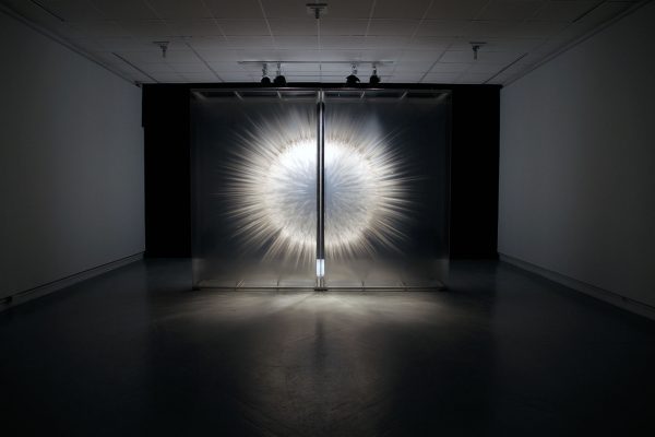 Vision by David Spriggs2010104 x 124 x 36 inches / 264 x 315 x 91 cmAcrylic paint on multiple sheets of transparent film in display case
