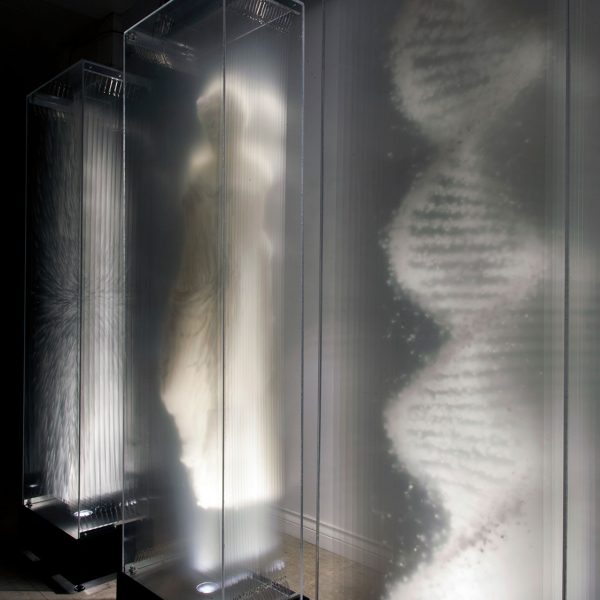 Title: Origins,Artist: David Spriggs,Location: Collection Pierre Miron, Montrea,lDate: 2018,Size: Each artwork 53 x 186 x 28 cm / 21 x 73 x 11 inches,Materials: Painted layered transparencies in display case