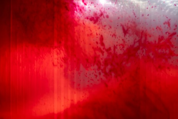 David-Spriggs-First-Wave-2025-05-low-res