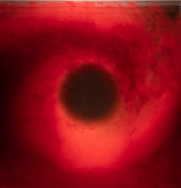 David-Spriggs-Red-Wave-2022-01_lowres-cropped