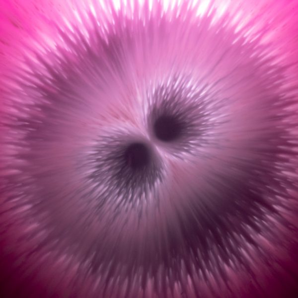 Zygote David Spriggs 01. low res