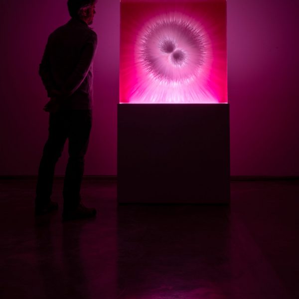 Zygote David Spriggs